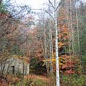 Abandoned barn and trees, 
Red River Gorge, Kentucky, 
2008